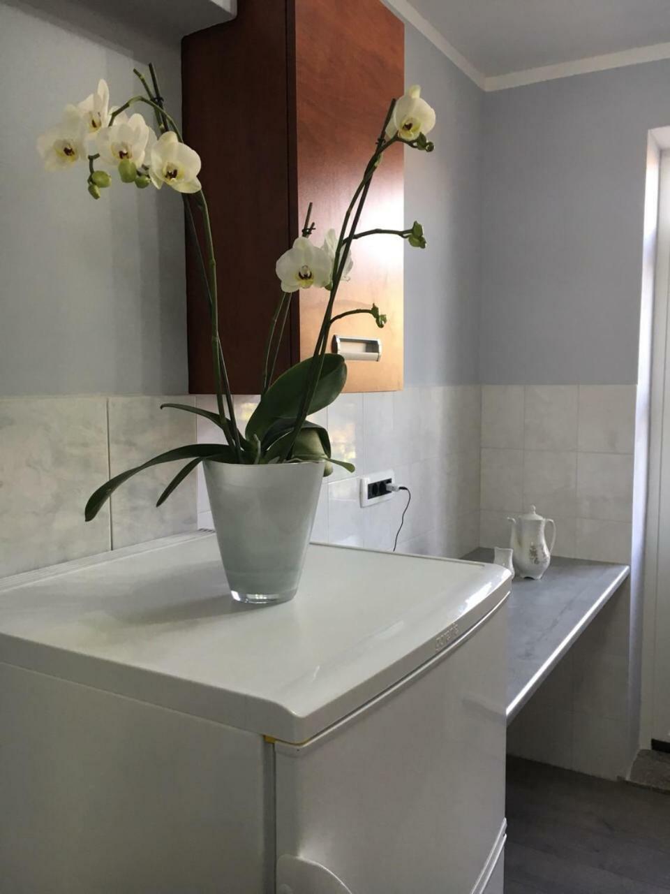 Apartment Kumicic - 3 Bedrooms Ічичі Екстер'єр фото